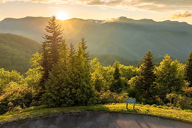 Road trip travel in Appalachian mountains at sunset. Mt. Mitchell Overlook on parkway and woods nature in summer season.