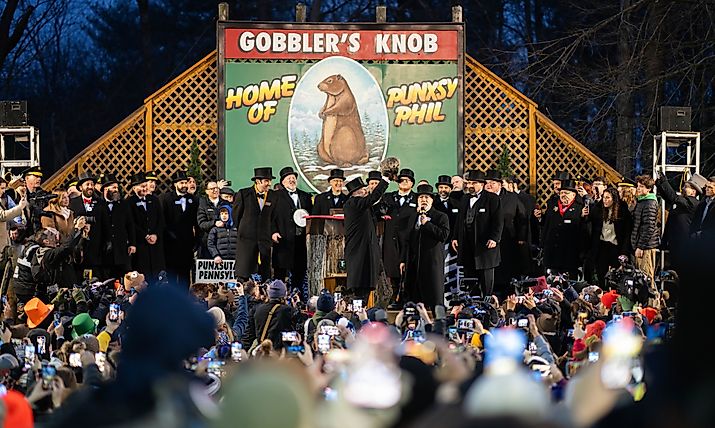 Groundhog Day Punxsutawney Phil Gobbler's Knob
