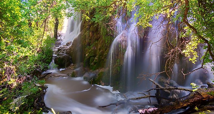 Three beautiful natural waterfalls, known as Gorman Falls, cascade down a wall of rocks at Colorado Bend State Park in the central Texas Hill Country.