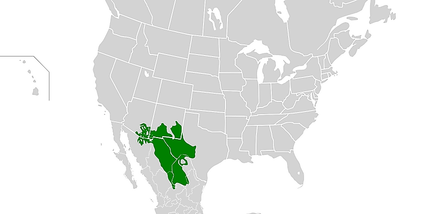 Map showing the Chihuahuan Desert