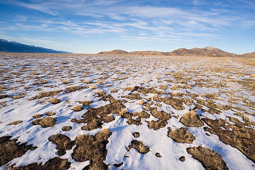 The Great Basin Desert in winter.