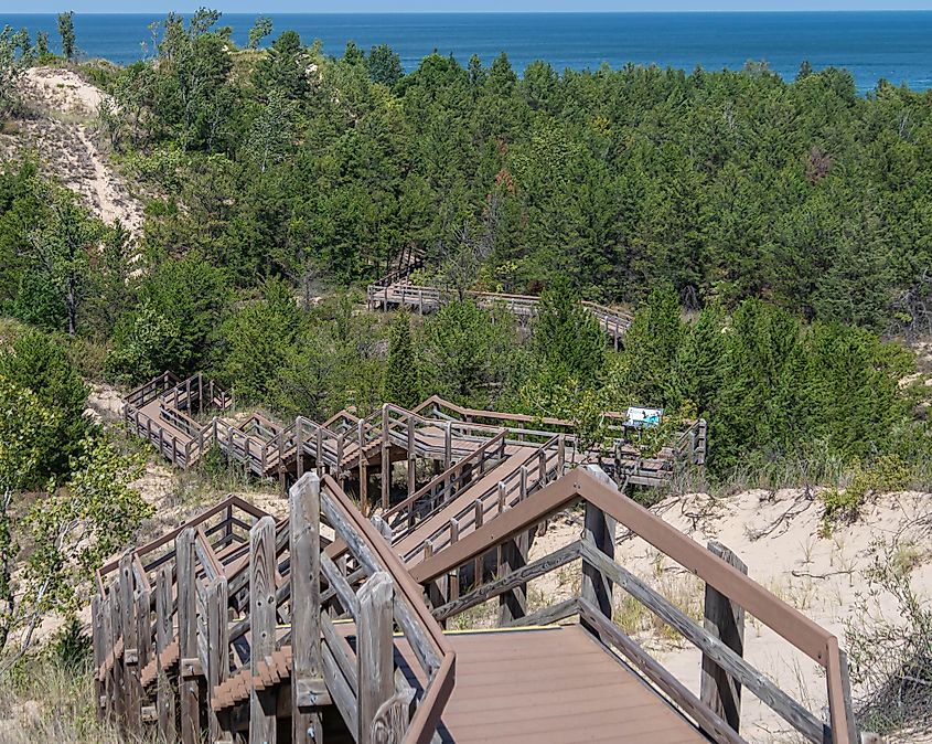 Indiana Dunes National Park Nature Photos.