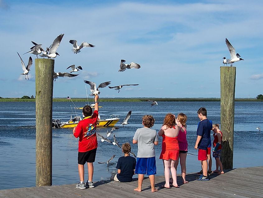 A group of children feeding the birds on the Apalachicola River dock in Apalachicola, Florida.