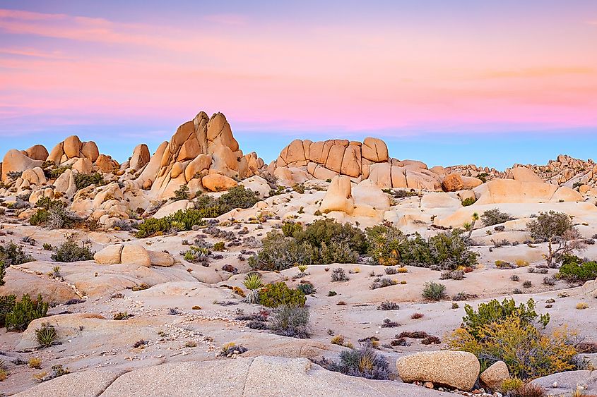 The landscape of the Mojave Desert in the US.