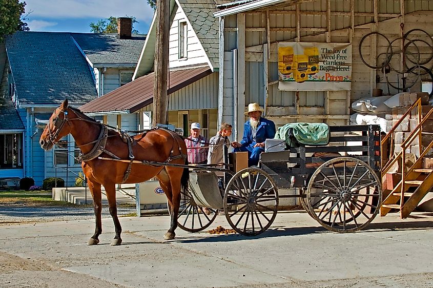 An Amish buggy in Shipshewana, Indiana