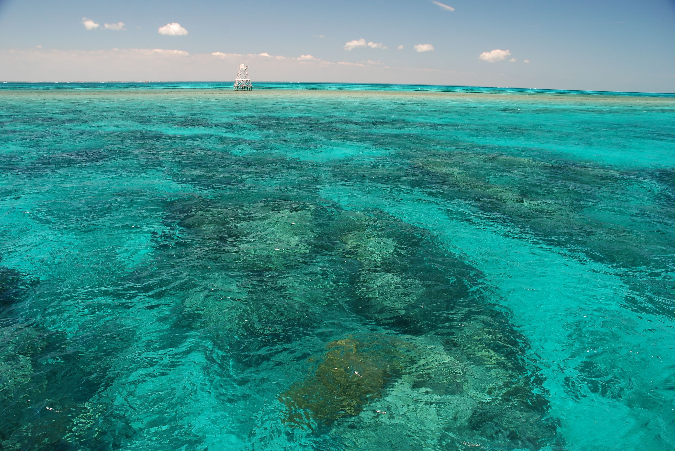 Amazing colors of coral reefs in John Pennekamp State Park, Key Largo, Florida 