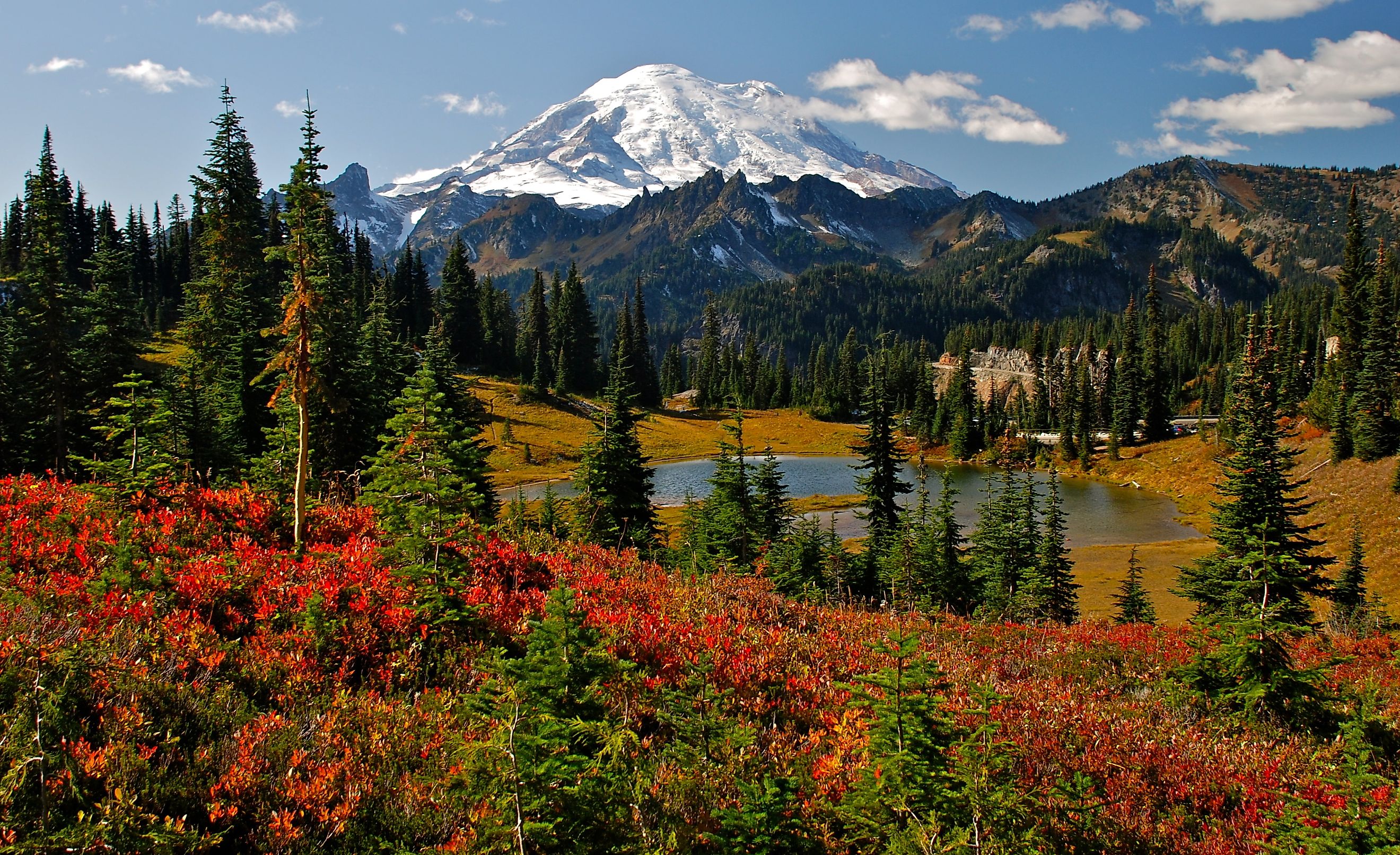 Autumn colors in Mt. Rainier National Park