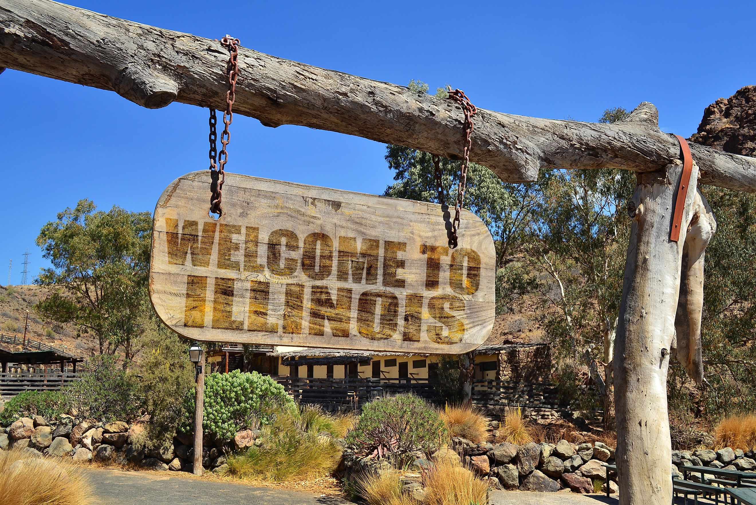 old wood signboard with text " welcome to Illinois" hanging on a branch