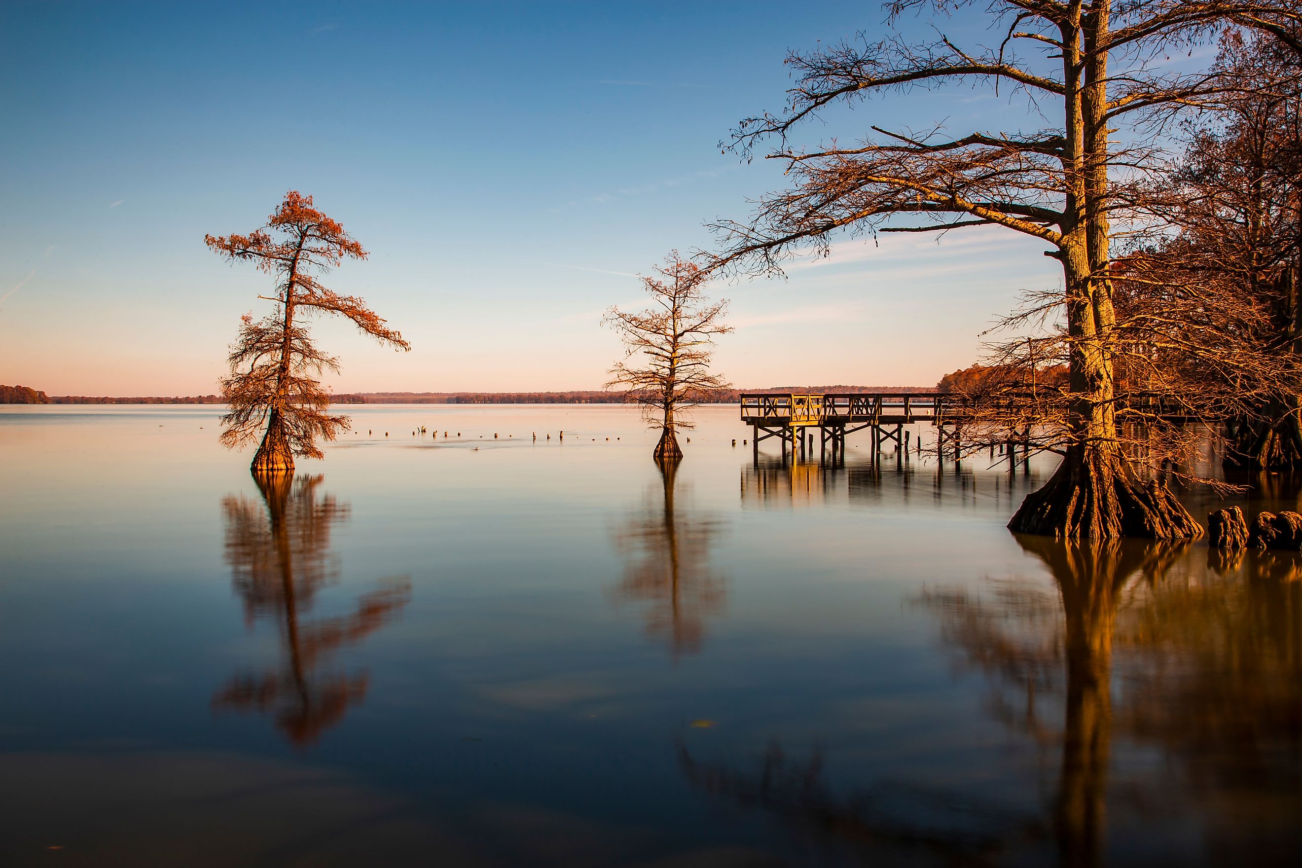 Landscapes of Reelfoot Lake Tennessee in Winter