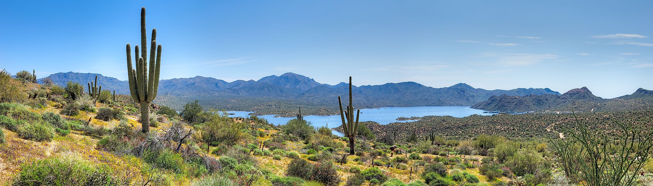 Bartlett Lake and blooming Sonoran Desert with Saguaros.