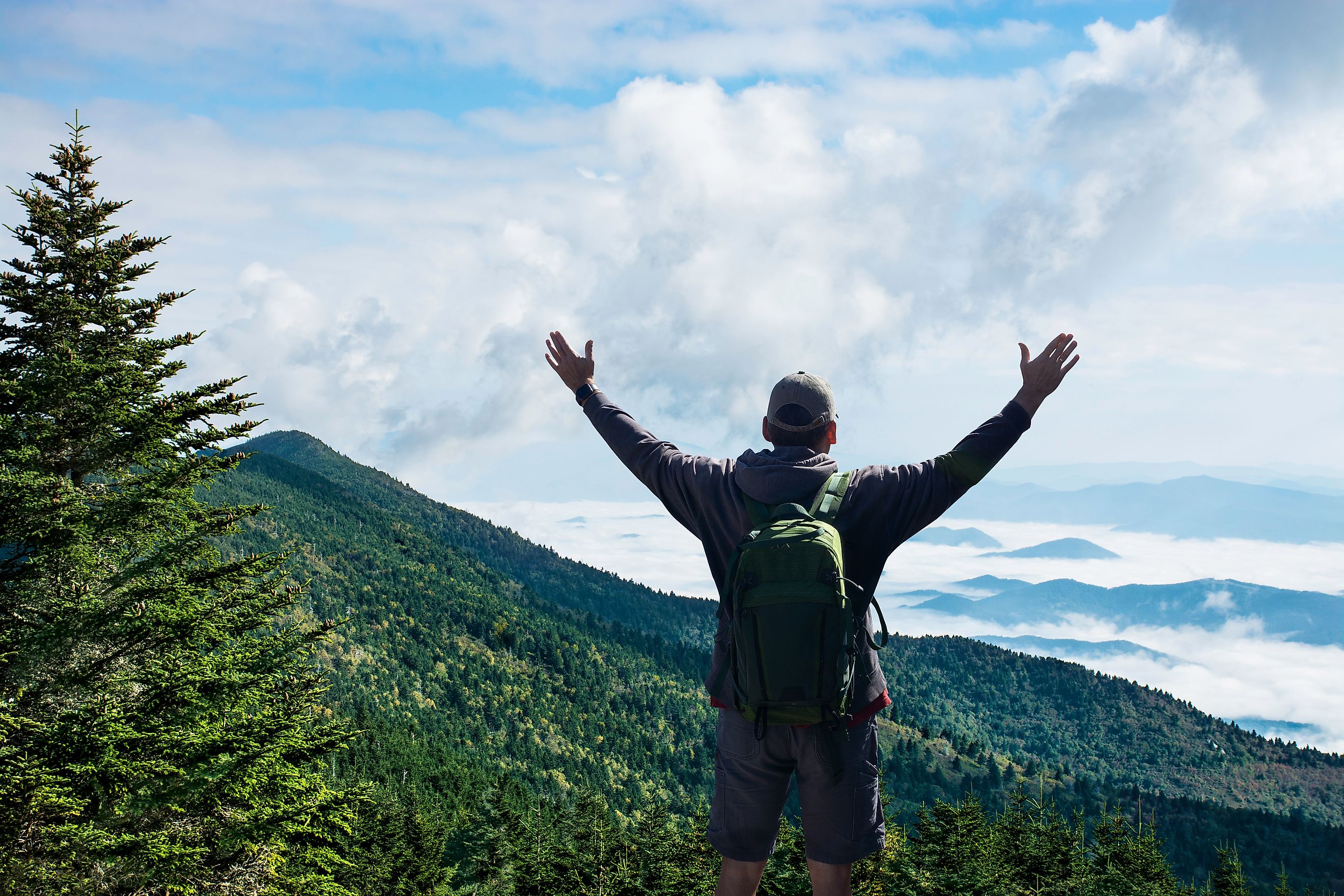 Man with arms raised relaxing on spring hiking trip. Man on top of the mountain enjoying beautiful foggy scenery. Mount Mitchell State Park, near Asheville, North Carolina