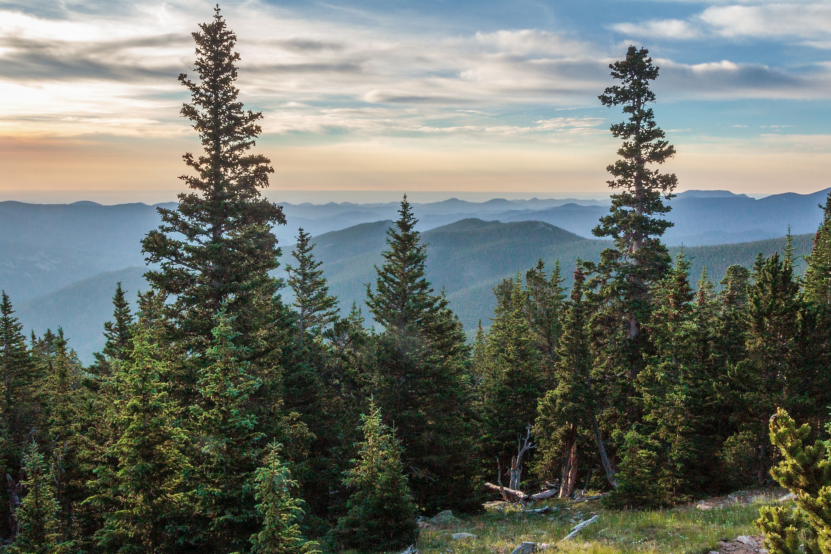 View of the Arapahoe National Forest from Mount Goliath in Colorado. 