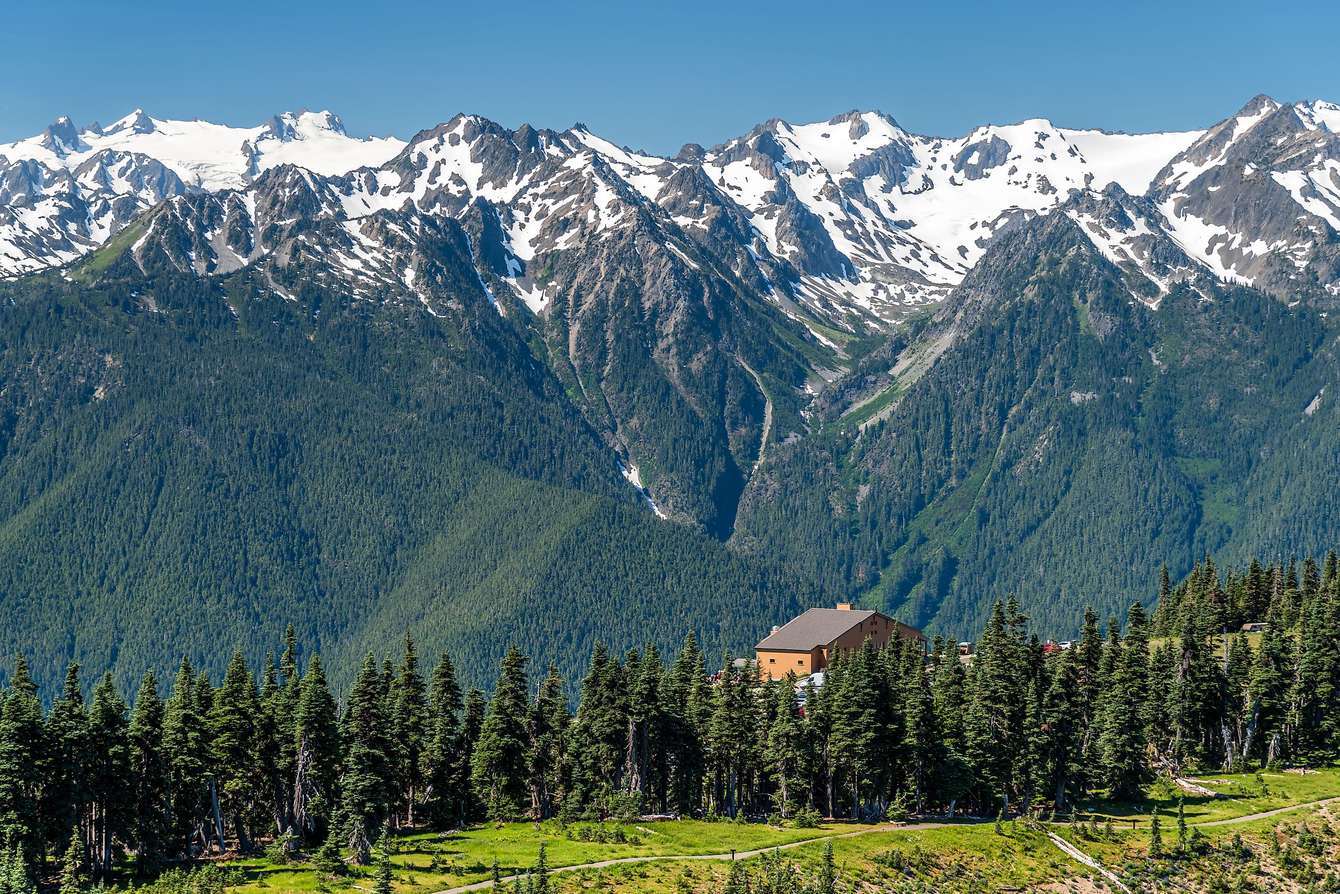The Hurricane Ridge viewpoint of Olympic National park in Washington, USA. The background is snow mountain