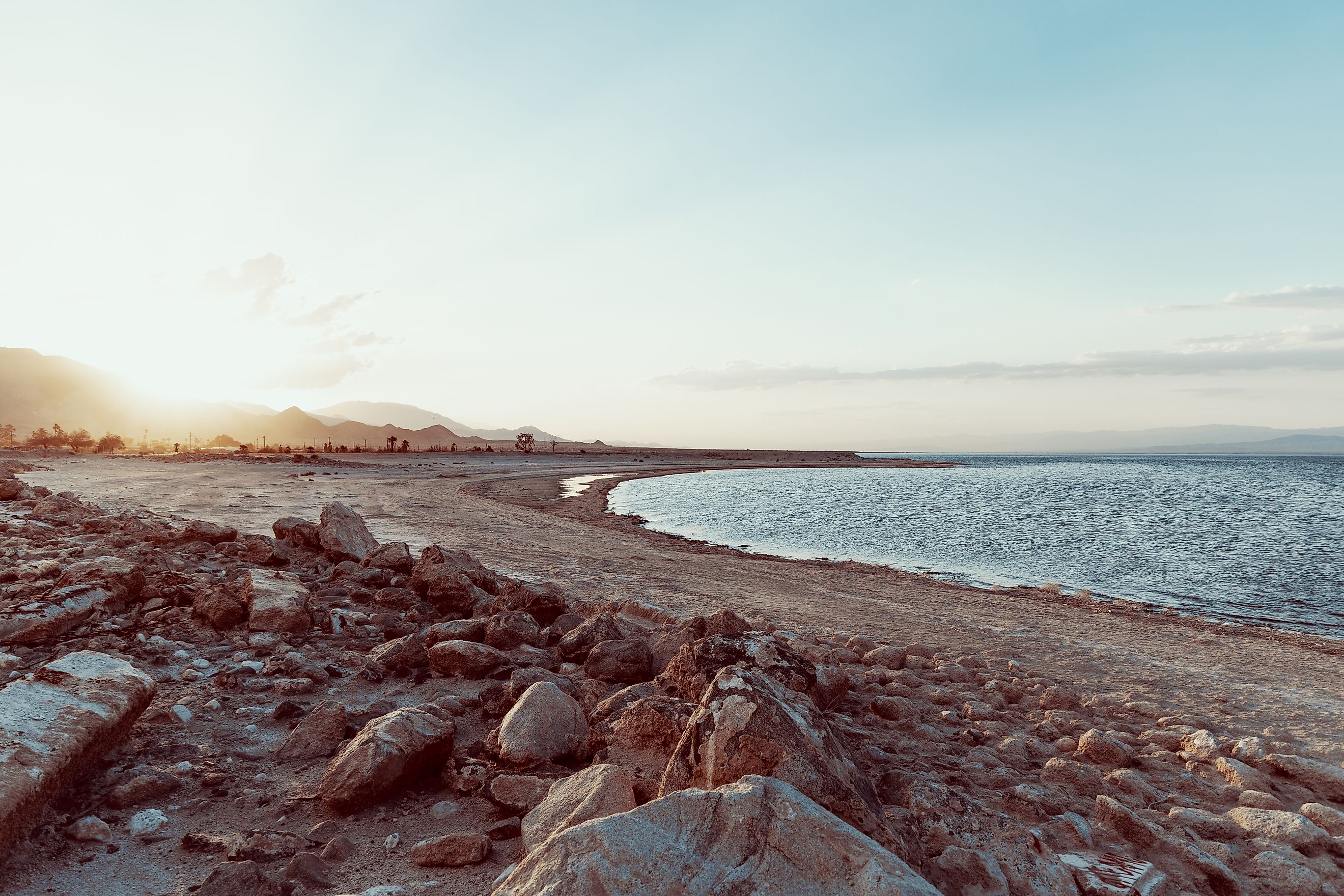 a beach of fish bones in Salton Sea