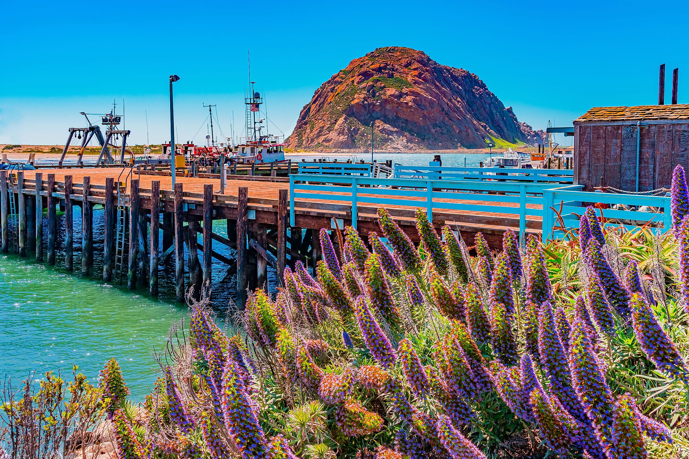 Morro Rock juts up out of the Morro Bay in San Luis Obispo County in California