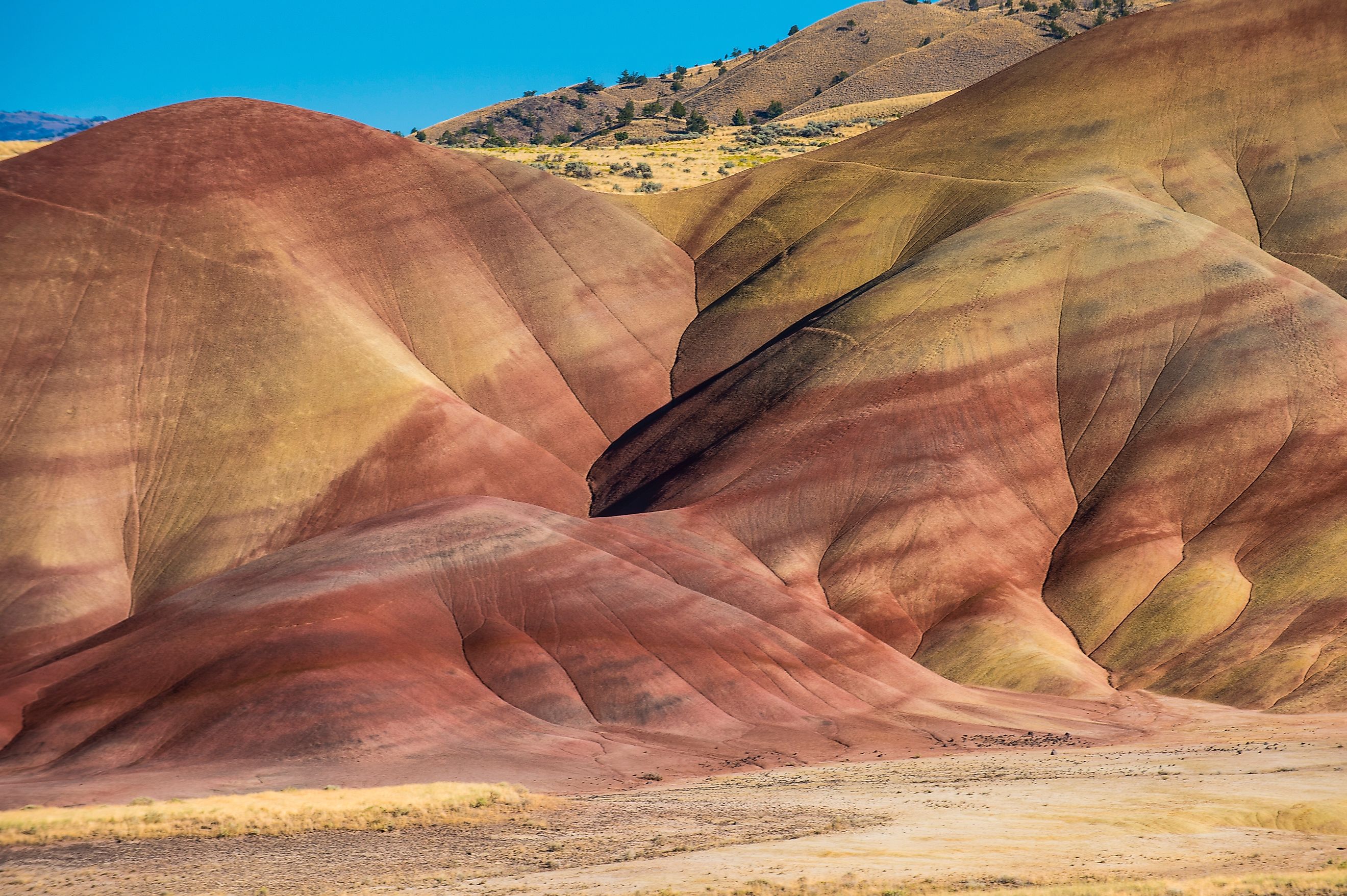 Multicoloured strata in the Painted Hills unit in the John Day Fossil Beds National Monument, Oregon, United States of America, North America