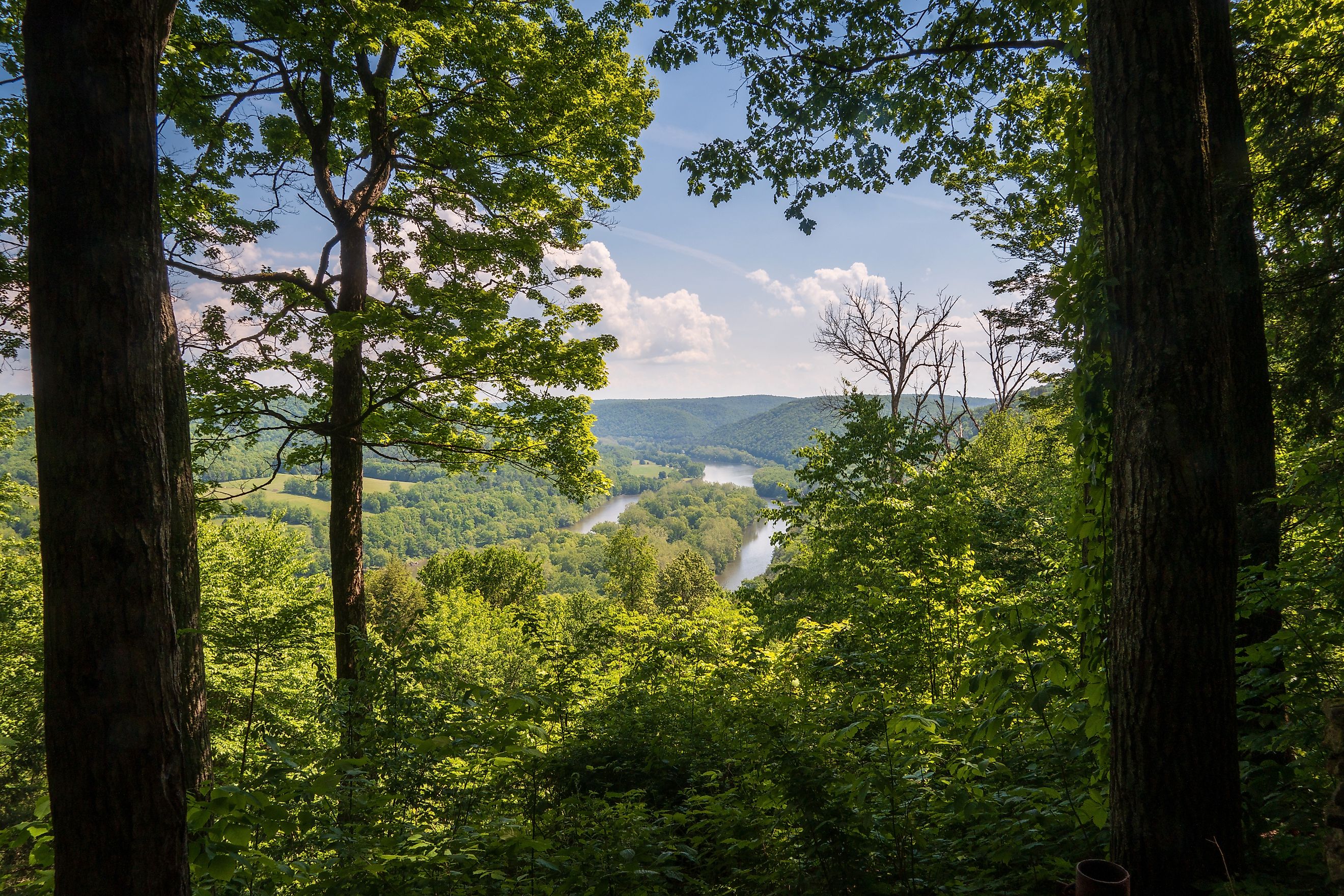 Allegheny National Forest Overlook of the Allegheny River in Pennsylvania.