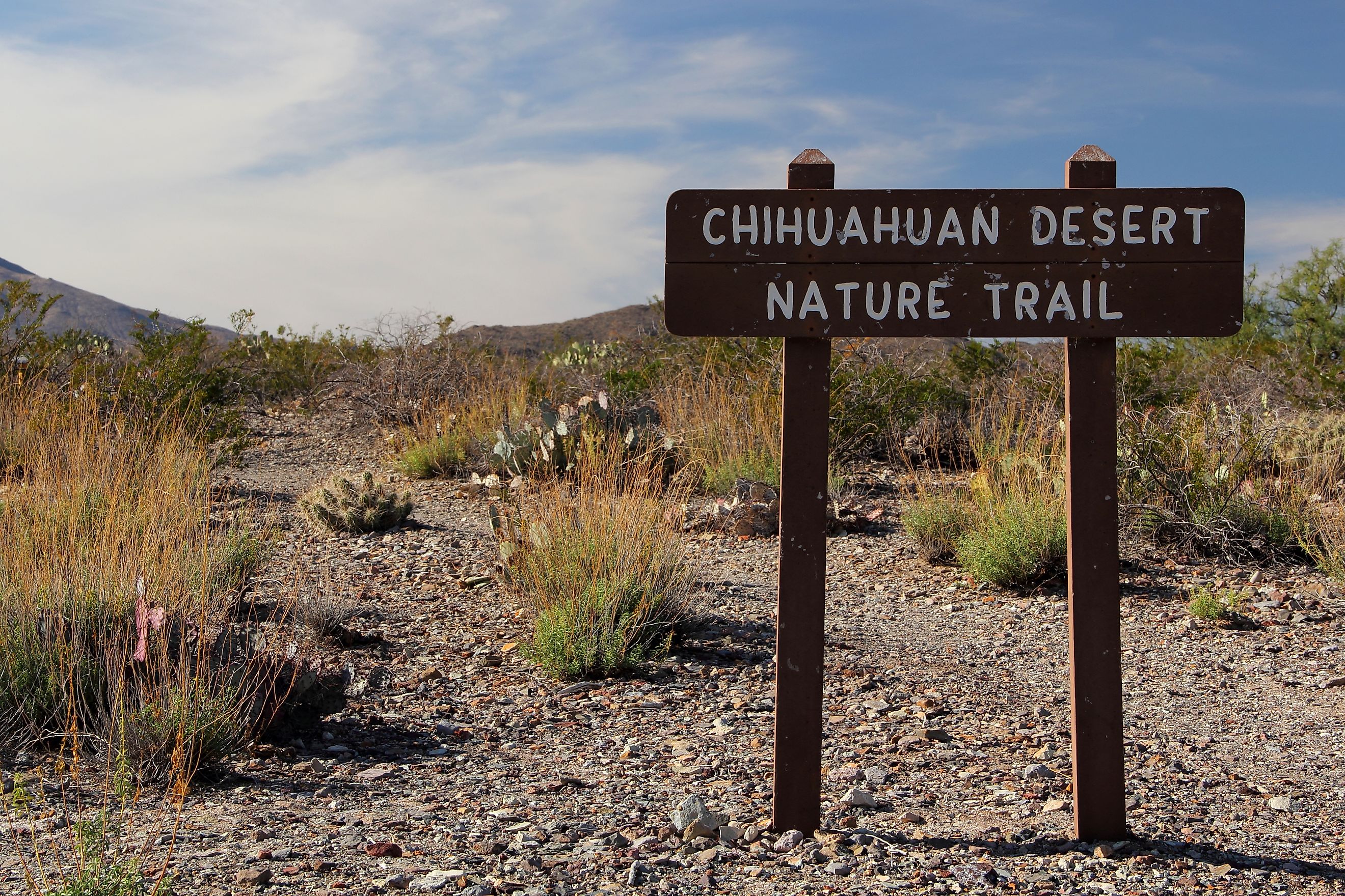 Chihuahuan Desert Nature Trail, Big Bend National Park, Texas