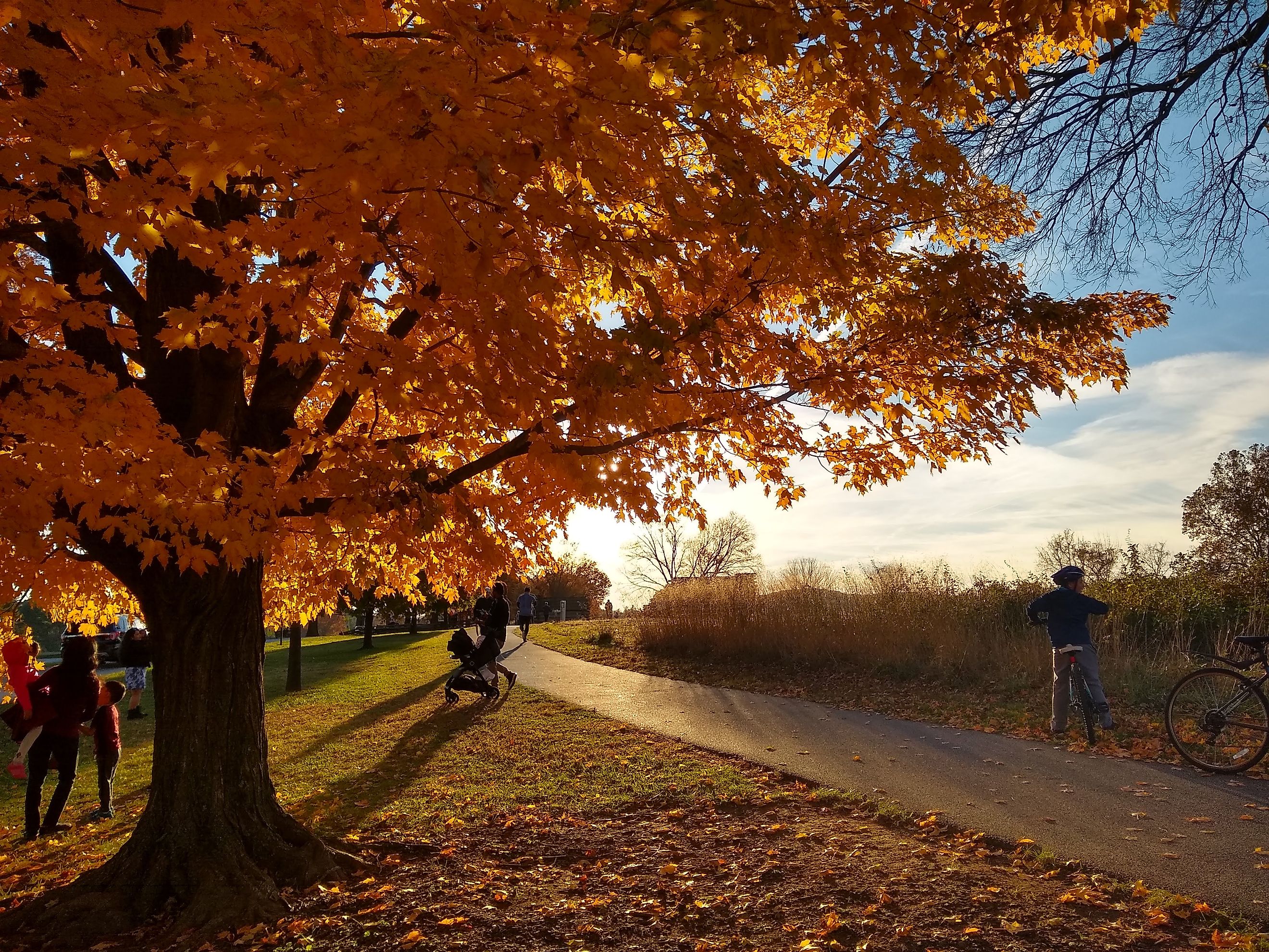 Late afternoon view from a sidewalk in Valley Forge National Historical Park. Editorial credit: Dinesh Manandhar / Shutterstock.com