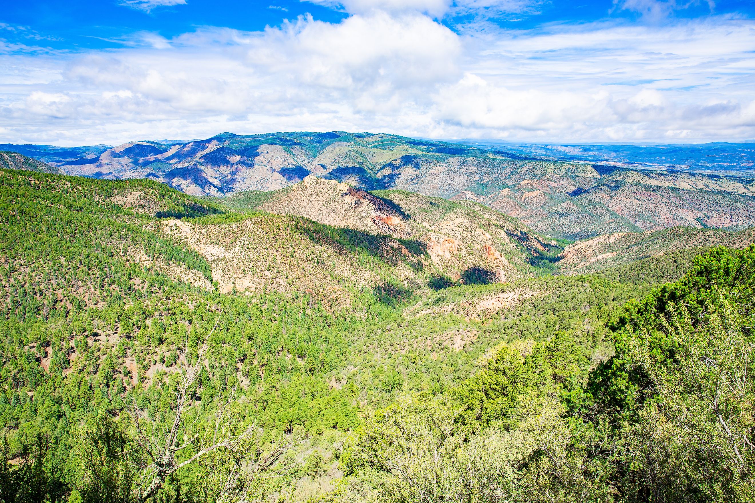 Gila National Forest in New Mexico, USA