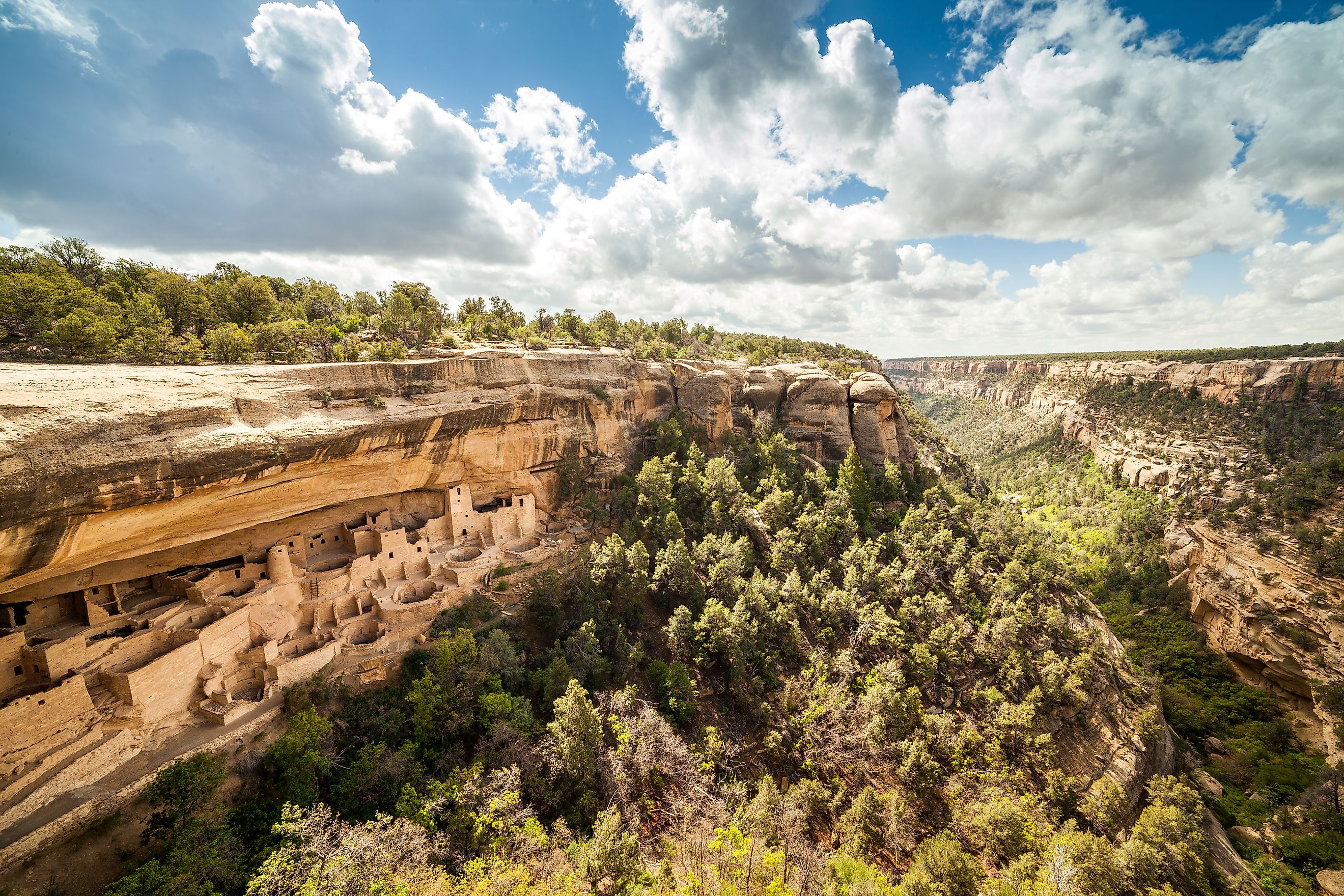 Cliff dwellings in Mesa Verde National Park, Co. 