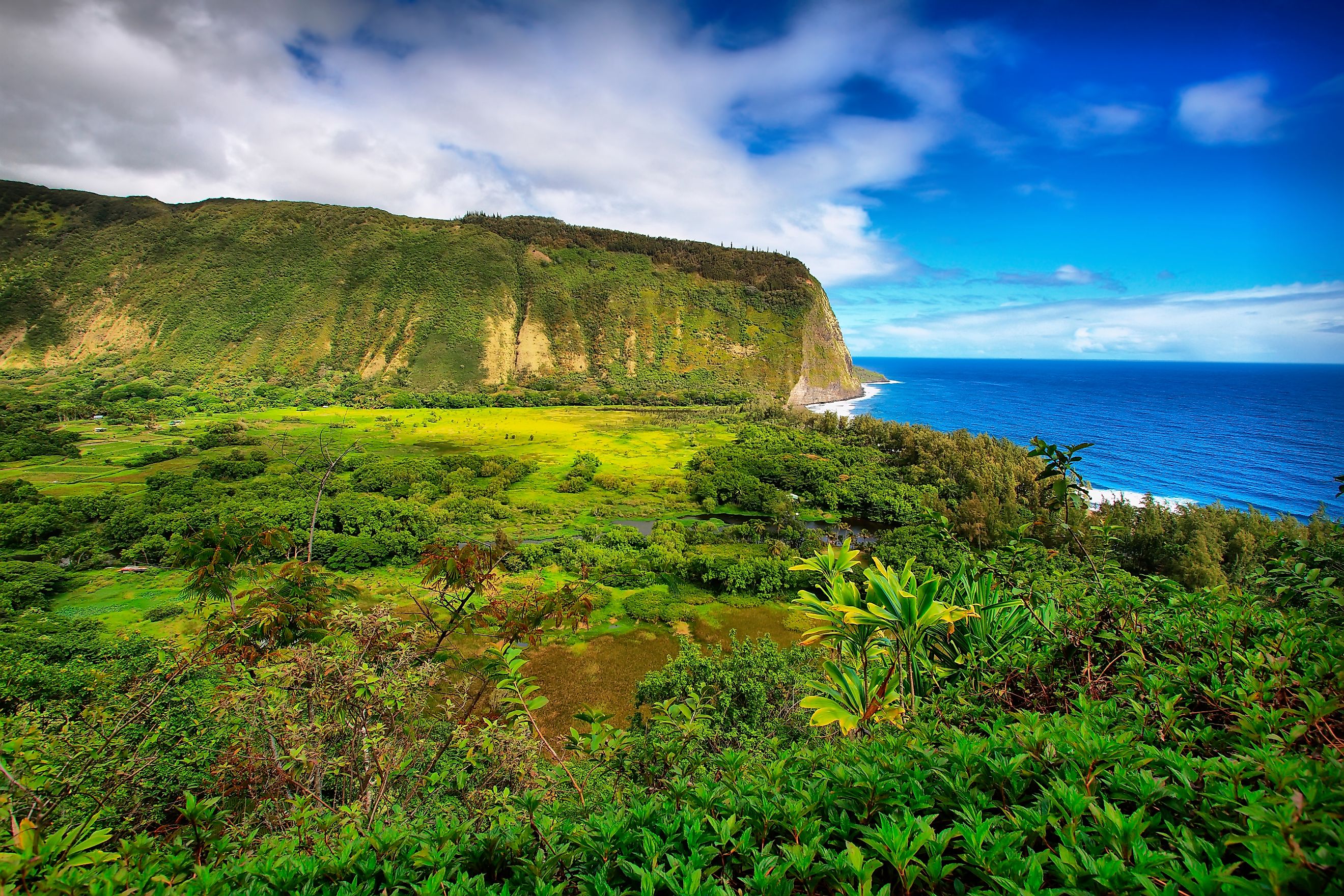 The Big Island of Hawaii is the largest island in the United States. 