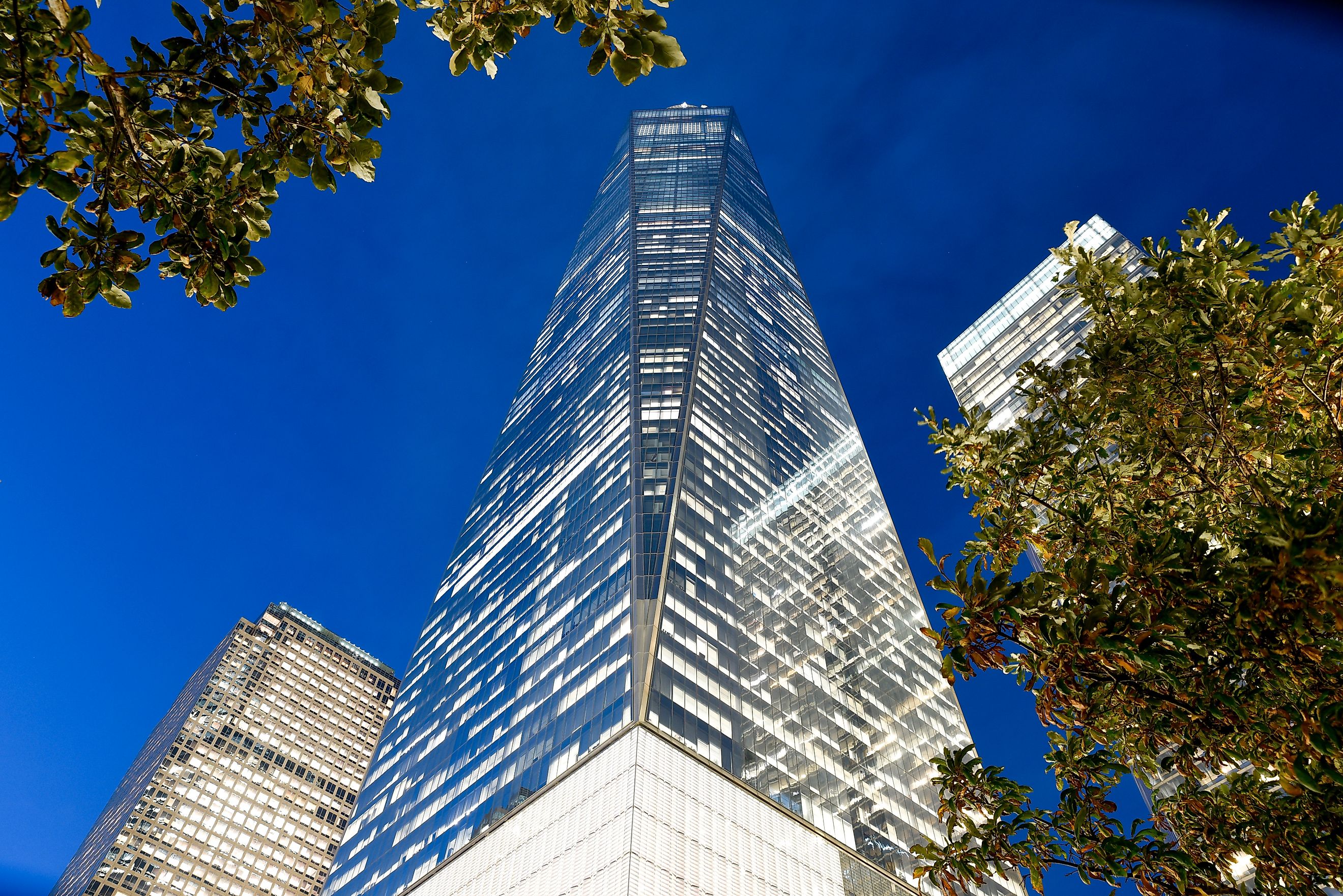 One World Trade Center by Night