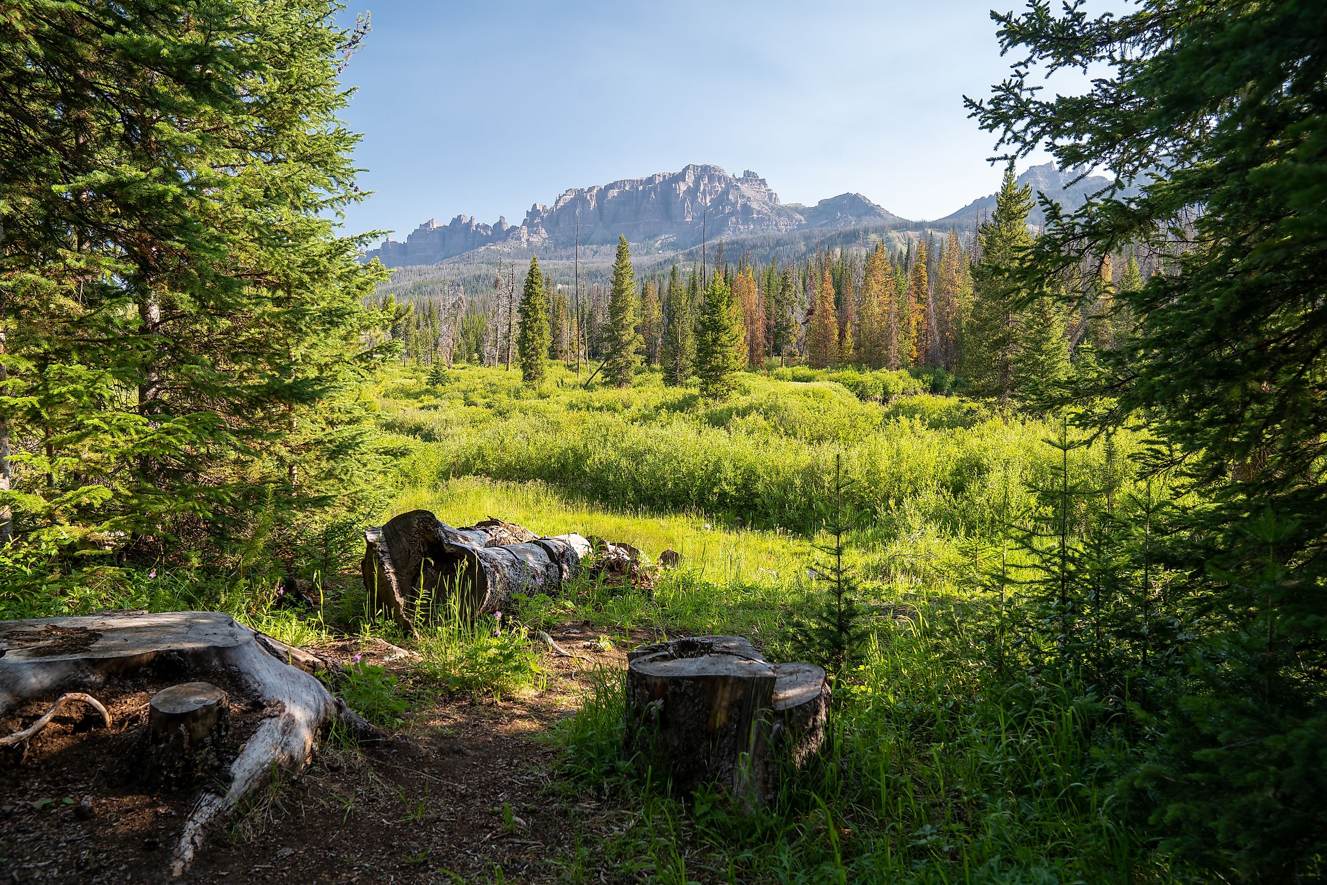 Beautiful summer view of Shoshone National Forest,