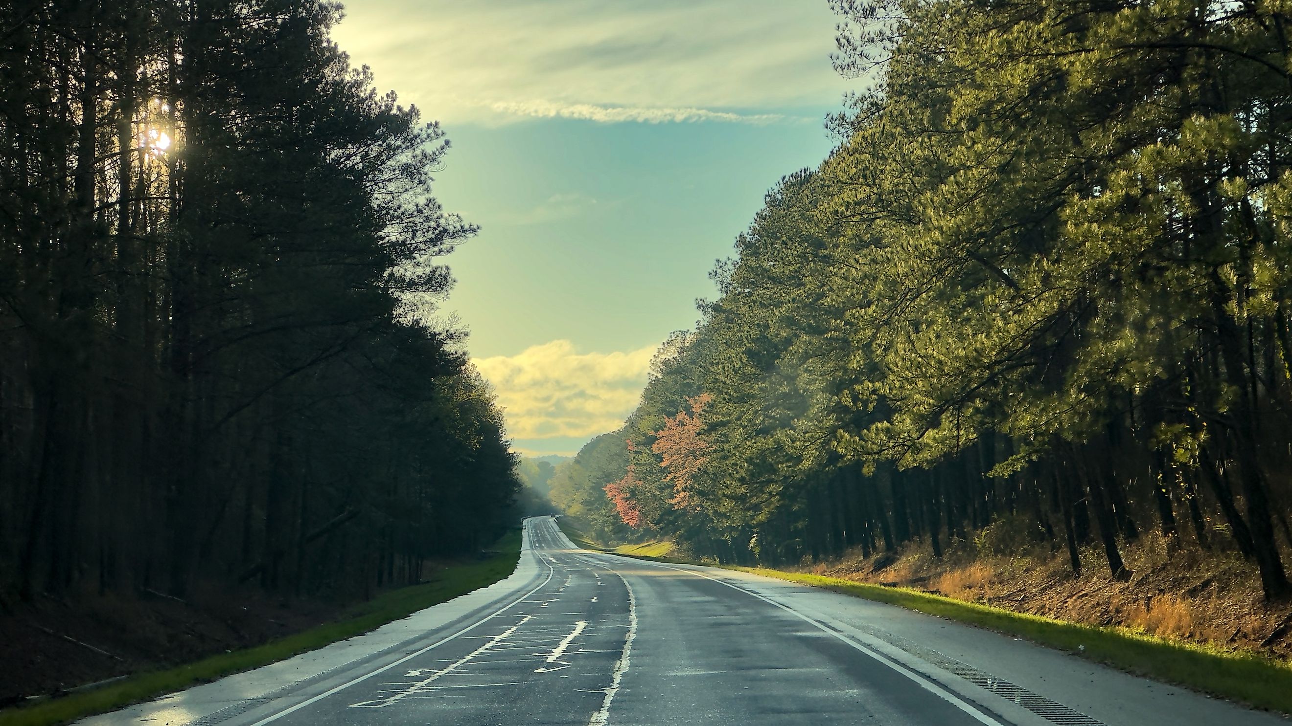 Tuskegee National Forest in Alabama