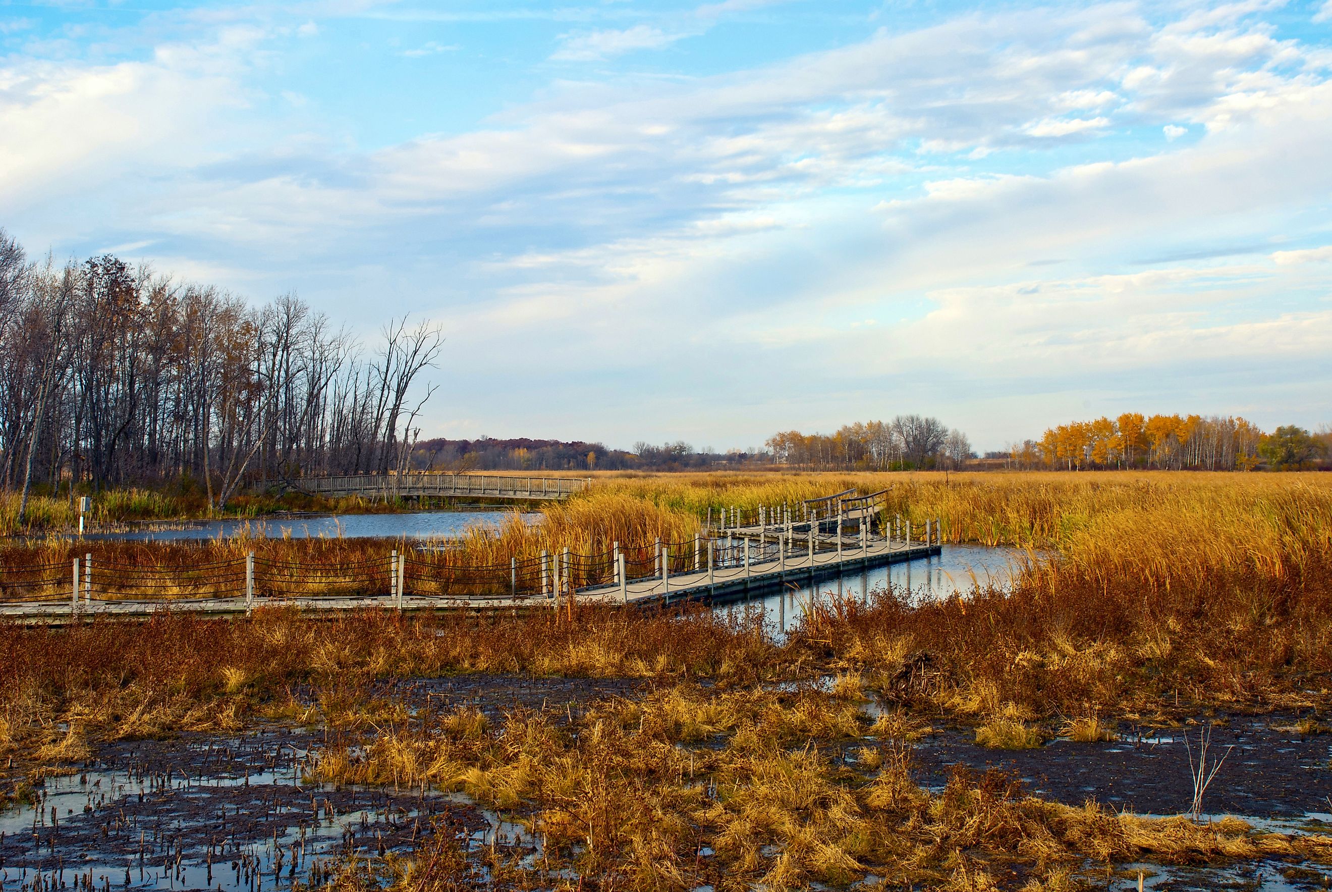 Autumn Landscape with a view of Horicon Marsh, Wisconsin